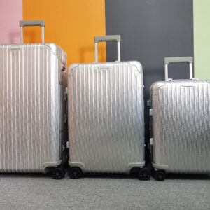 2021 series silver travel luggage