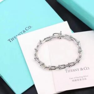 Silver U-shaped charm bracelet