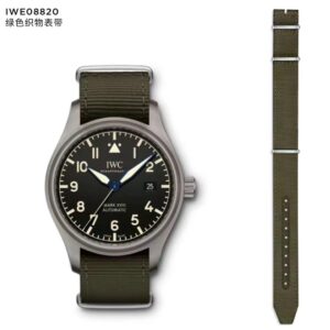 Omega Titanium Series Watch