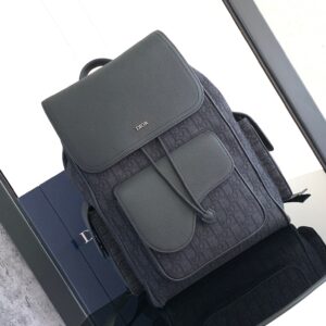 Saddle Backpack Oblique Print