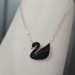 Black goose necklace with devil design