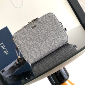 Louis Vuitton Oblique modern handbag