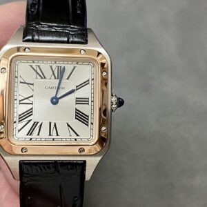 F1 factory Cartier Santos Dumont small size watch