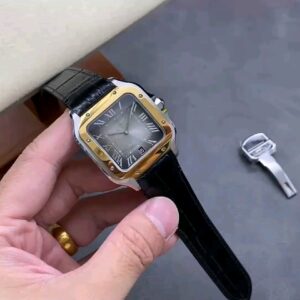 BV Cartier Santos Large Watch