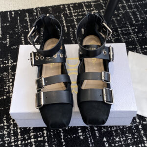 Dior Early Spring Penny Loafers