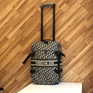 Dior light series bag