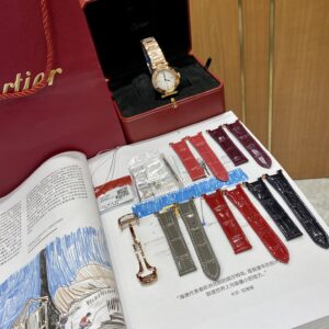 Pausha series 35mm 316L steel watch