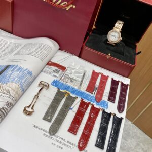 Pausha series 35mm 316L steel watch