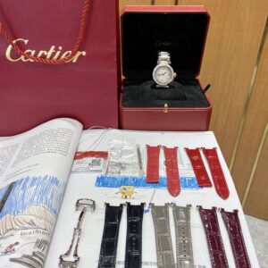 Pausha series 35mm 316L steel watch