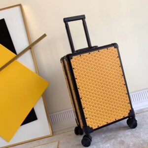 20 inch Goyard vintage style luggage suitcase
