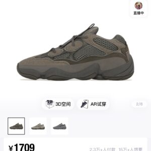 Adidas Yeezy 500 Blush shoes