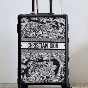 Dior Horizon A25 suitcase