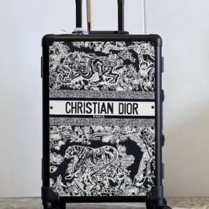 Dior suitcase