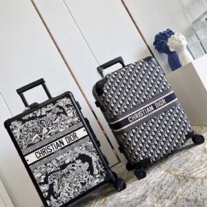 Dior suitcase