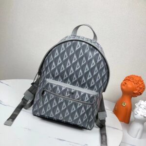 Dior Rider backpack with gray CD Diamond