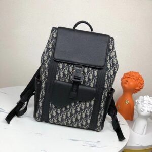 Dior saddle shoulder bag