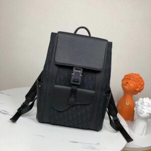 Dior saddle shoulder bag
