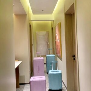 Essential series luggage