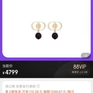 Dior letter earring necklace