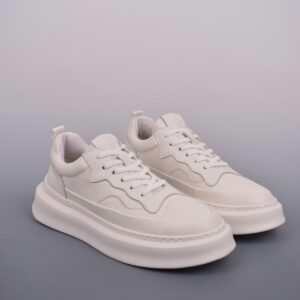 Ecco Walking Shoe