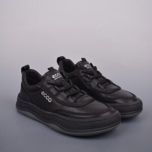 Ecco Walking Shoe