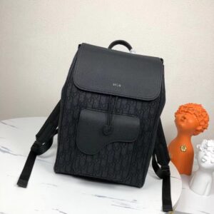 Dior Saddle Backpack