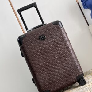 20 inch Gucci wheel luggage with double G logo