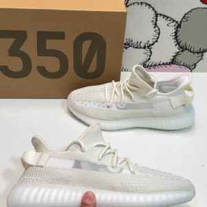Adidas Boost Yeezy 350 V2