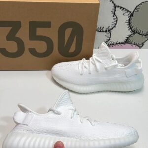 Adidas Boost Yeezy 350 V2