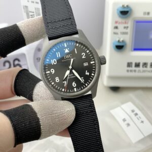Mark XX Patrouille Suisse titanium model watch