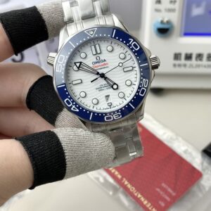 VS Omega Aqua Terra 300 Olympic edition watch