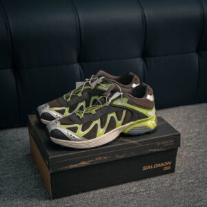 Salomon XT-Whisper Panhui shoes