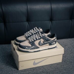 Nike Dunk DJ2024 047
