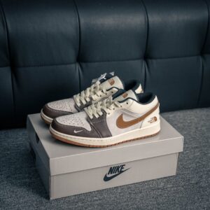 Air Jordan 1 sneaker