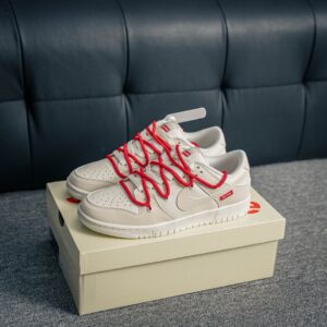 Nike Dunk complete original shoes